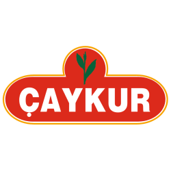 Caykur