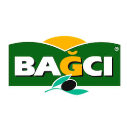 Bağcı Zeytin