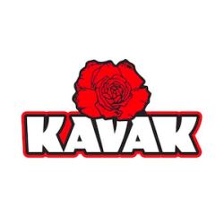 Kavak