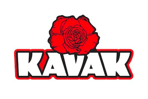 Kavak